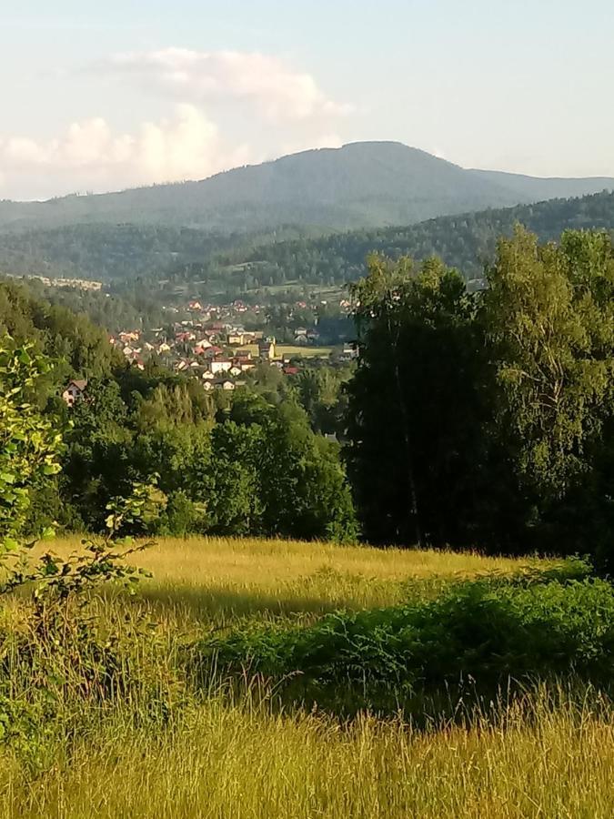 Pod Modrzewiami Daire Milówka Dış mekan fotoğraf