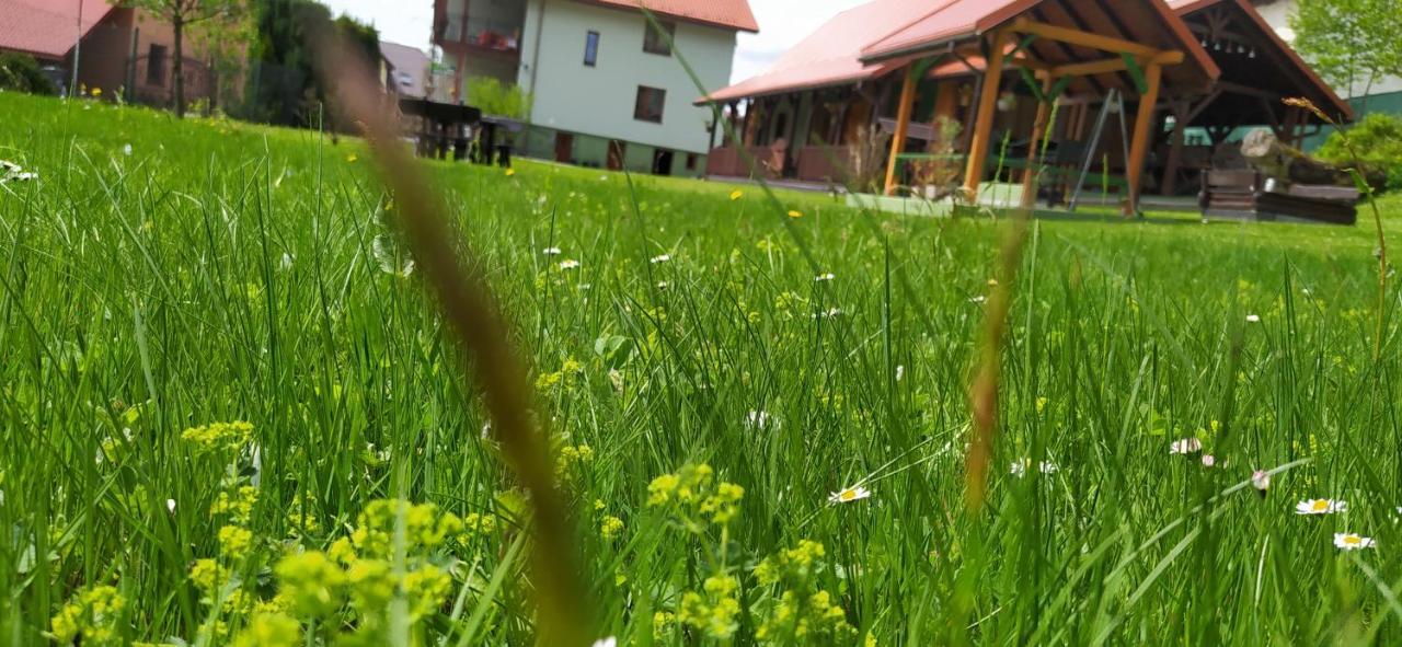 Pod Modrzewiami Daire Milówka Dış mekan fotoğraf