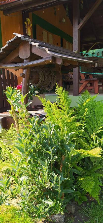 Pod Modrzewiami Daire Milówka Dış mekan fotoğraf