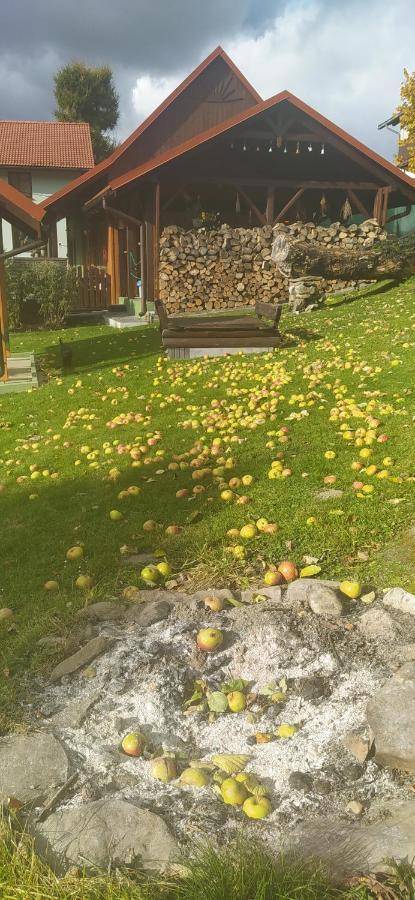 Pod Modrzewiami Daire Milówka Dış mekan fotoğraf