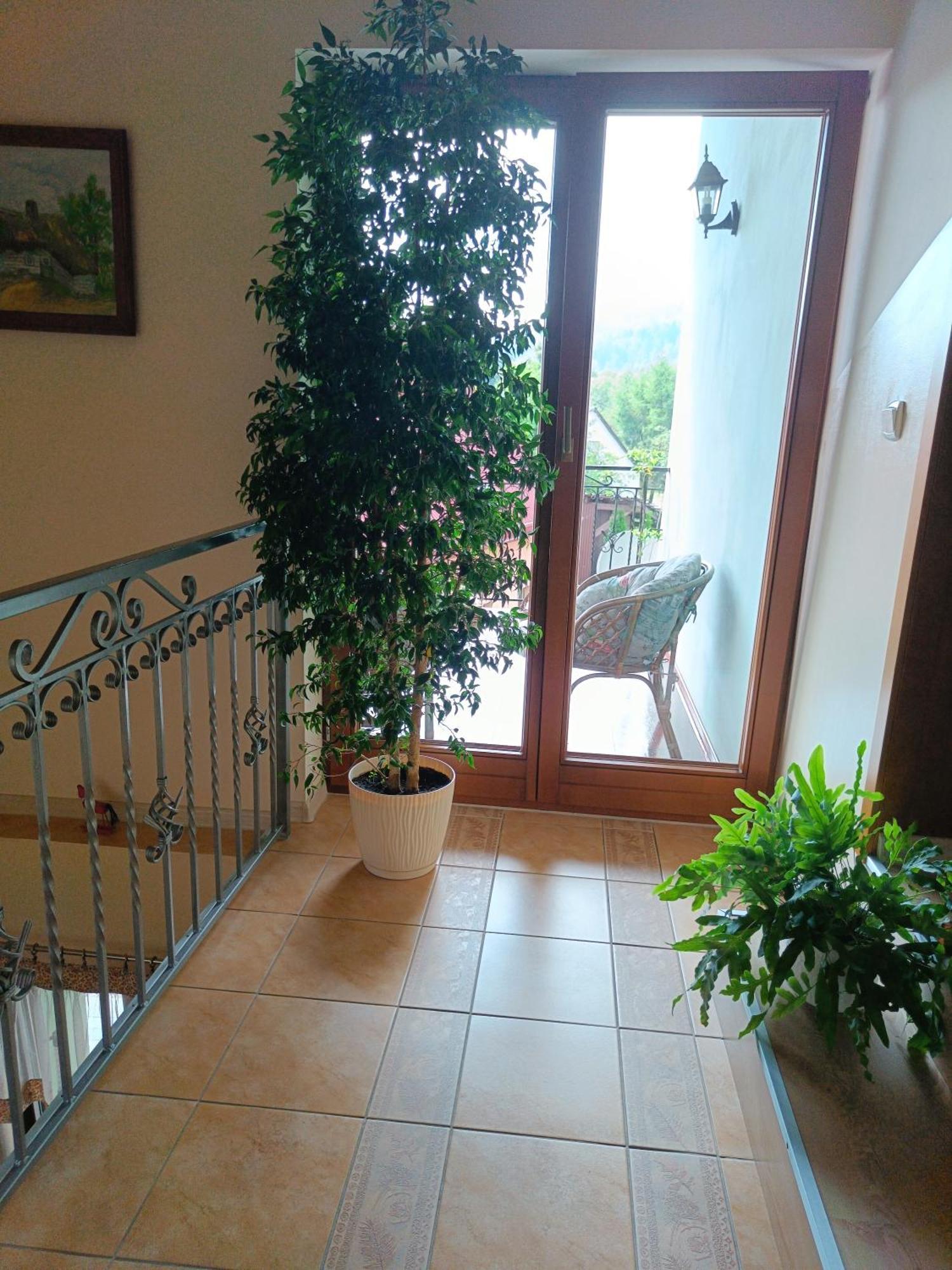 Pod Modrzewiami Daire Milówka Dış mekan fotoğraf