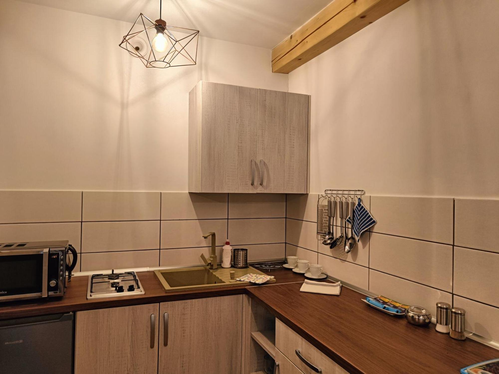 Pod Modrzewiami Daire Milówka Oda fotoğraf